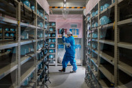 NEWS - Sieben Jahre nach Tsunami und Erdbeben: Aufräumarbeiten im Atomkraftwerg Fukushima