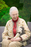 PEOPLE - Affen-Forschering Jane Goodall auf Besuch in Paris