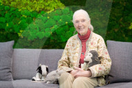 PEOPLE - Affen-Forschering Jane Goodall auf Besuch in Paris