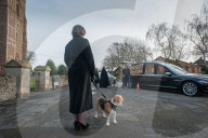 FEATURE - Funeral Therapy Dog: Beagle Basil soll das Angehörigen bei der Trauer beistehen