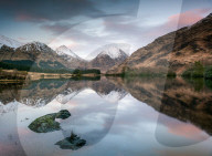 FEATURE - Pix of the Day: Die Bilder des Tages