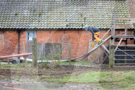 FEATURE - Ein Teenager baut sich eine Skipiste im Garten in Sleaford