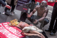 NEWS - Mailand Fashion Week: Anti Pelz Proteste