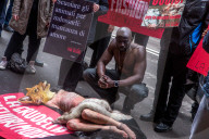 NEWS - Mailand Fashion Week: Anti Pelz Proteste