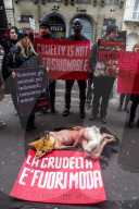 NEWS - Mailand Fashion Week: Anti Pelz Proteste