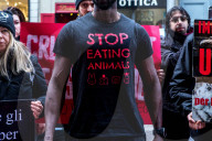 NEWS - Mailand Fashion Week: Anti Pelz Proteste