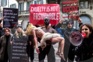 NEWS - Mailand Fashion Week: Anti Pelz Proteste
