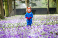 FEATURE - Pix of the Day: Bilder des Tages