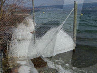 NEWS - Kältewelle in Europa: Der Zürichsee und seine Eisskulpturen