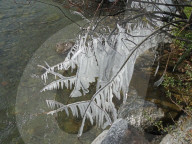 NEWS - Kältewelle in Europa: Der Zürichsee und seine Eisskulpturen