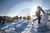 NEWS - Winter in Europa