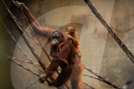 FEATURE - Spanien: Der Fuengirola Tierpark in Malaga