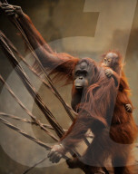 FEATURE - Spanien: Der Fuengirola Tierpark in Malaga
