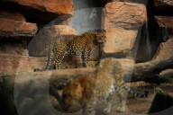 FEATURE - Spanien: Der Fuengirola Tierpark in Malaga