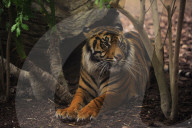 FEATURE - Spanien: Der Fuengirola Tierpark in Malaga