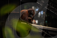 FEATURE - Spanien: Der Fuengirola Tierpark in Malaga