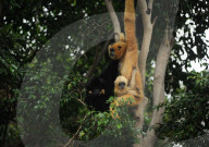 FEATURE - Spanien: Der Fuengirola Tierpark in Malaga