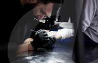 REPORTAGE - Tattoo Vegan: Laden in Büssel