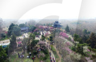 FEATURE - Pix of the Weekend: Die Bilder vom Wochenende