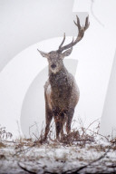 FEATURE - Pix of the Weekend: Die Bilder vom Wochenende