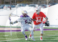 FEATURE - Pix of the Day: Bilder des Tages