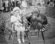 FEATURE - Tierisches aus dem Archiv