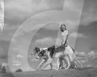 FEATURE - Tierisches aus dem Archiv