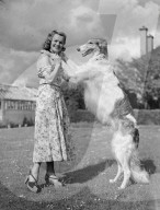 FEATURE - Tierisches aus dem Archiv