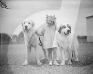 FEATURE - Tierisches aus dem Archiv