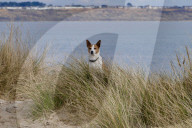 FEATURE - Pix of the Day: Bilder des Tages