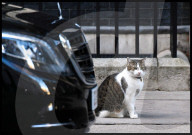 NEWS - London: Mohammad Bin Salman Al Saud zu Besuch 