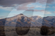 REPORTAGE - Nevada: Cowboy Poetry Gathering in Elko