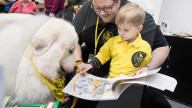 FEATURE - Grosses Schaulaufen an der Hundeshow "Crufts" in Birmingham