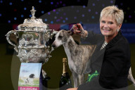 FEATURE - Crufts - Weitere Impressionen der grössten  Hundeshow der Welt in Birmingham