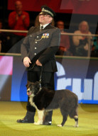 FEATURE - Crufts - Weitere Impressionen der grössten  Hundeshow der Welt in Birmingham