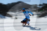 FEATURE - Pix of the Day: Bilder des Tages