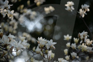 FEATURE - Pix of the Day: Die Bilder des Tages