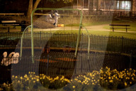 NEWS - Salisbury: Weitere Ermittlungen im Spionagedrama