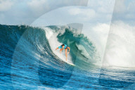 FEATURE - Pix of the Day: Bilder des Tages