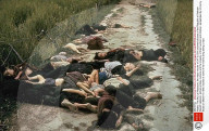 NEWS - My Lai Vietnam