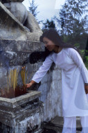 NEWS - My Lai Vietnam
