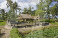 NEWS - My Lai Vietnam