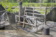 NEWS - My Lai Vietnam