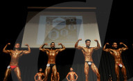 FEATURE - Bodybuilder in Kaschmir