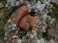 FEATURE - Pix of the Day: Bilder des Tages