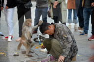 FEATURE - China: Tanzaffen in den Strassen von Xuancheng