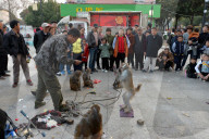 FEATURE - China: Tanzaffen in den Strassen von Xuancheng