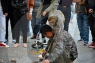 FEATURE - China: Tanzaffen in den Strassen von Xuancheng