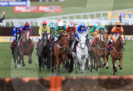 FEATURE - Impressionen vom Cheltenham Festival