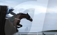 FEATURE - Impressionen vom Cheltenham Festival